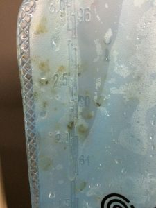 Killing Hydration Pack Mold